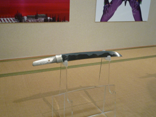 P1000437.jpg