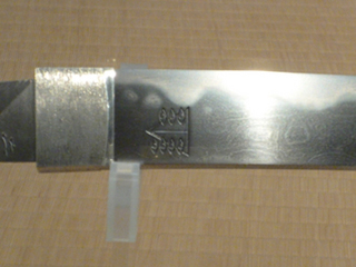 P1000439.jpg