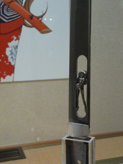 P1000539.jpg